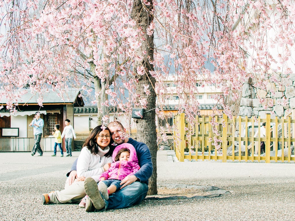 Cherry blossoms in Kofu City