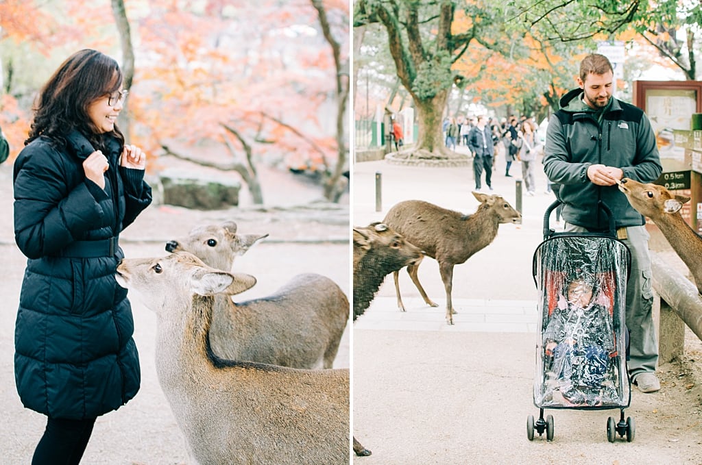 Feeding Deer in Nara