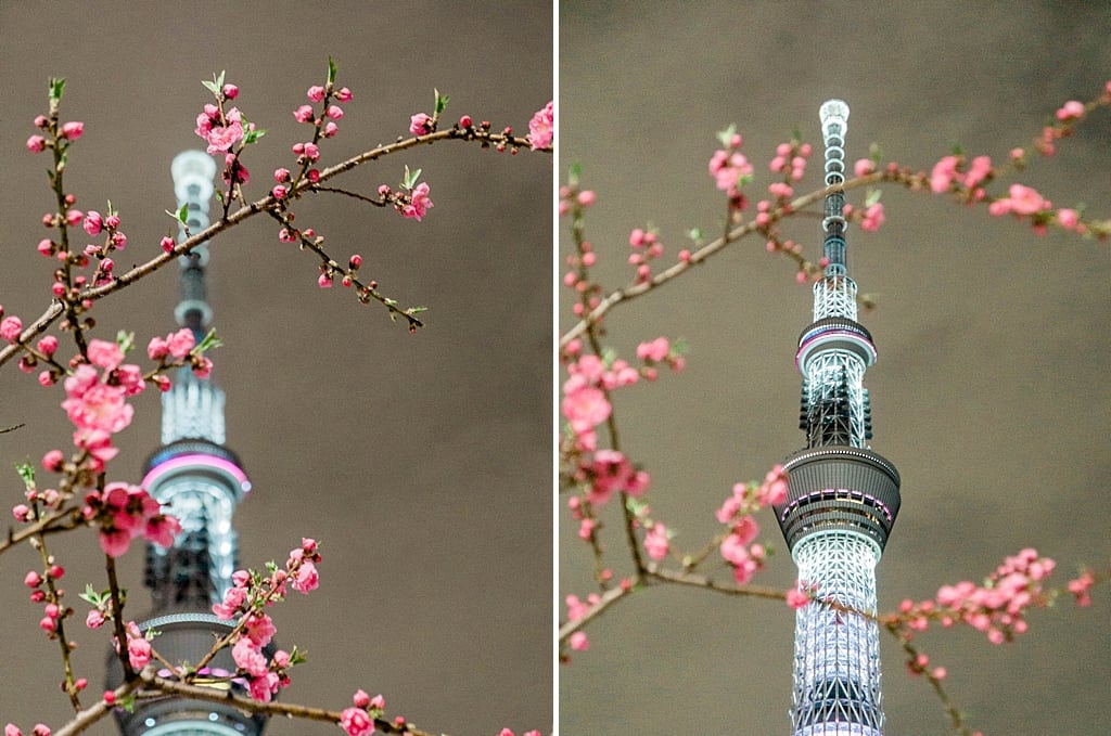 Tokyo Skytree is more enjoyable from the outside