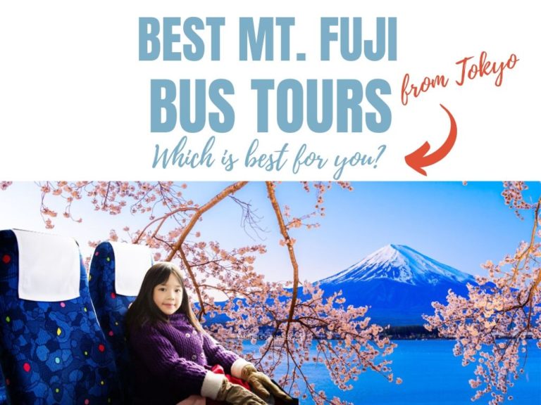 Best Mt Fuji Bus Tours from Tokyo