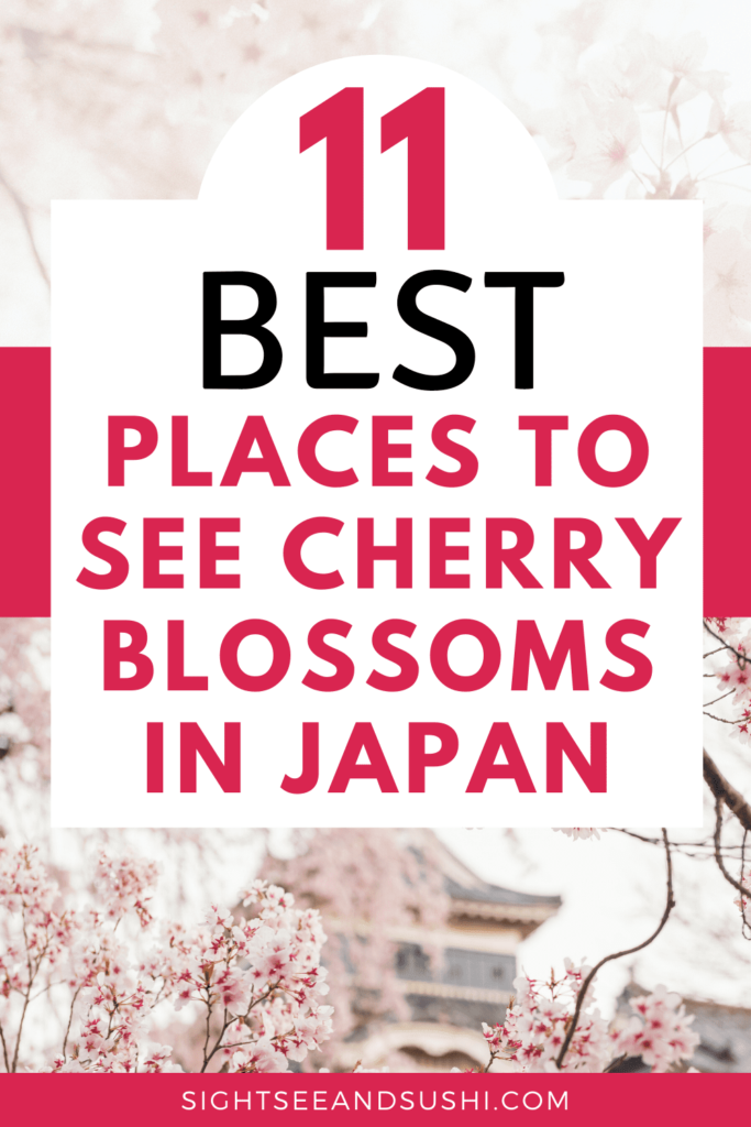 Cherry Blossoms in Japan Forecast