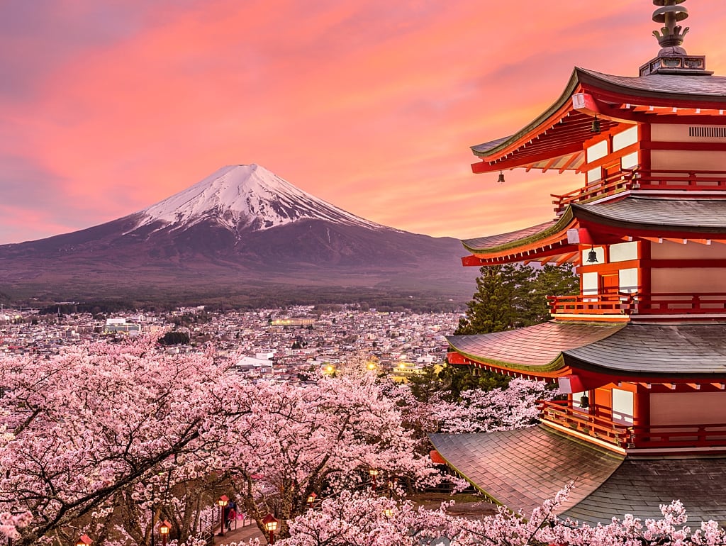 Chureito Pagoda near Lake Kawaguchi during cherry blossoms