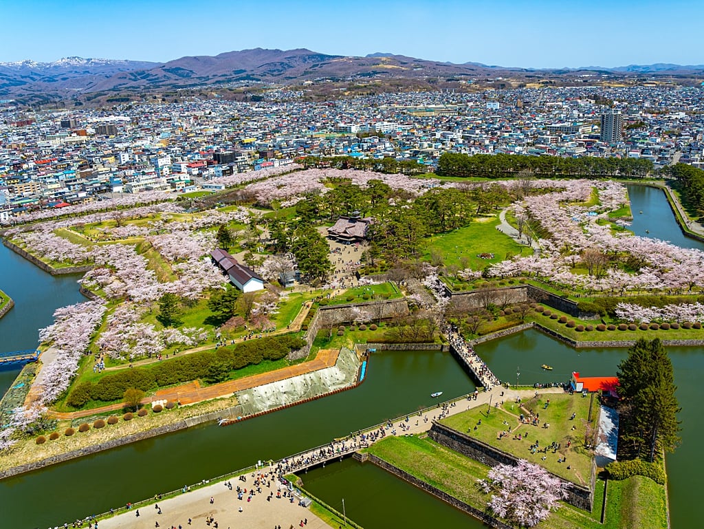 Goryokaku Park in Hakodate during cherry blossoms