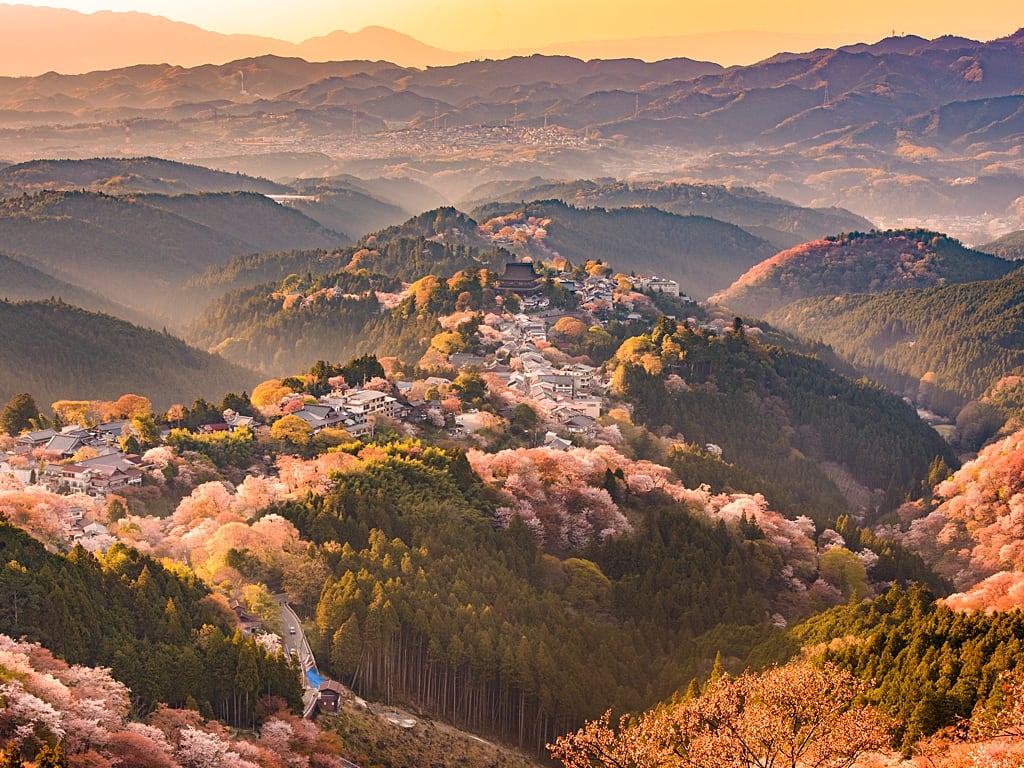 Mount Yoshino in Nara during cherry blossoms